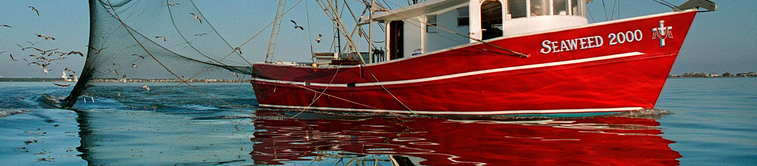 Danish-Seafood-Association-Top