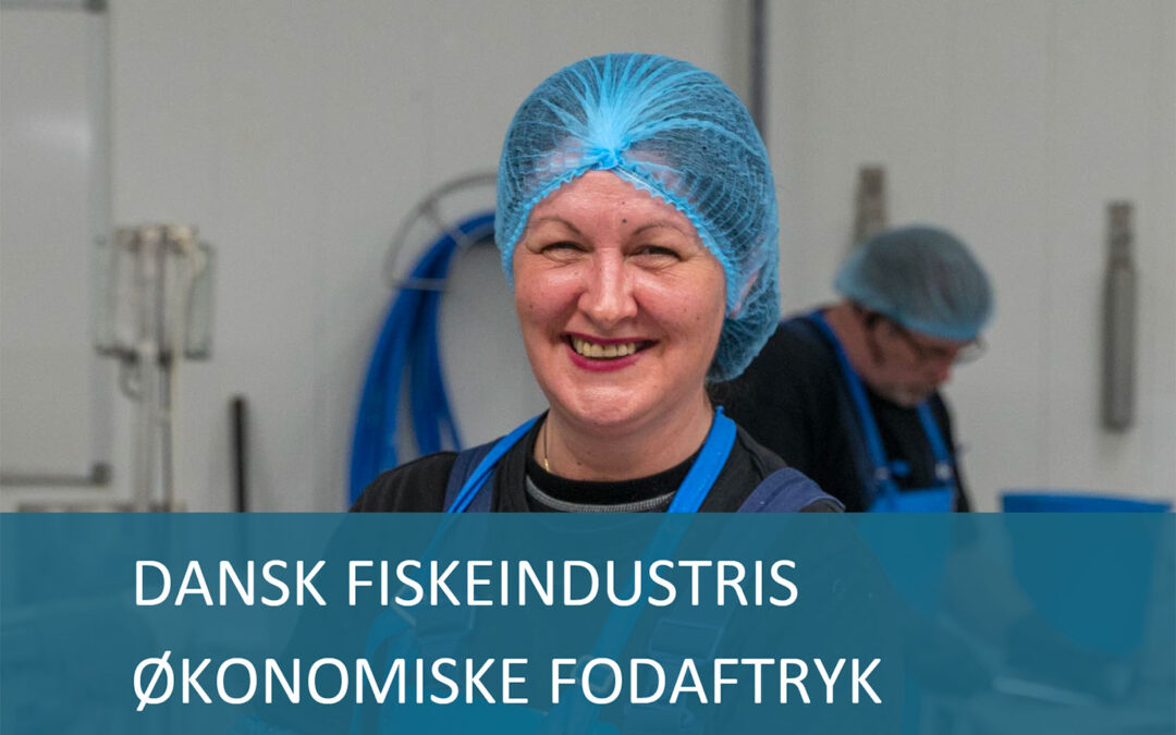 Dansk Fiskeindustris Økonomiske Fodaftryk